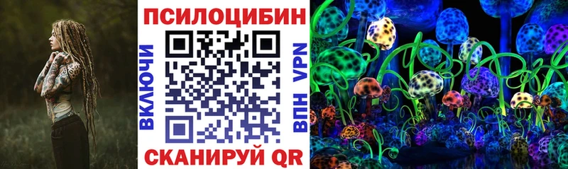 Псилоцибиновые грибы Psilocybe Далматово